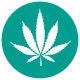 Our Story Icons_CBD Options Our Story Icons_CBD Options